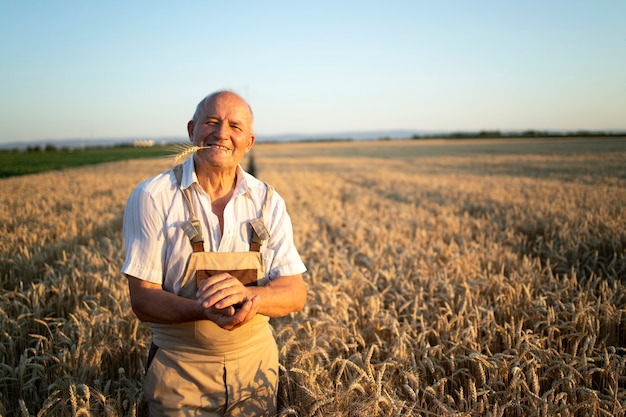 Retrato de exitoso agrónomo agricultor senior de pie en campo de trigo