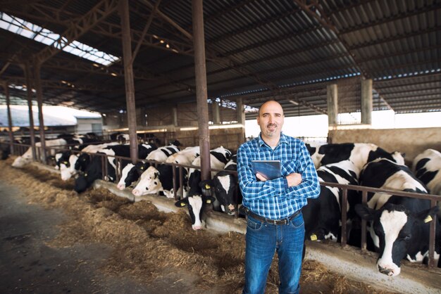 Retrato del granjero ganadero de pie delante de las vacas y sosteniendo la tableta en la granja
