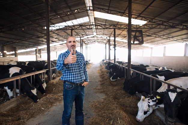 Retrato del granjero ganadero de pie con orgullo en la granja de vacas y sosteniendo los pulgares para arriba