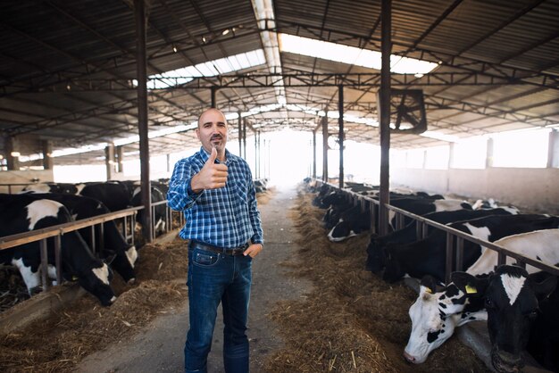 Retrato del granjero ganadero de pie con orgullo en la granja de vacas y sosteniendo los pulgares para arriba