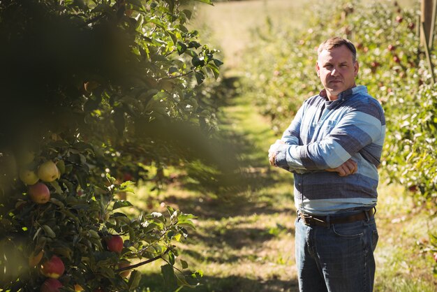 Retrato de granjero de pie con los brazos cruzados en huerto de manzanas