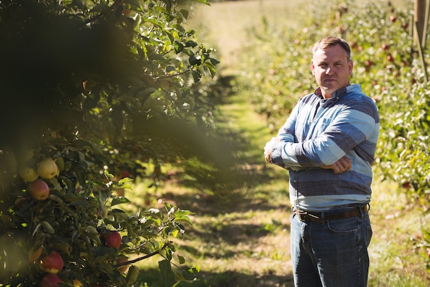 Retrato de granjero de pie con los brazos cruzados en huerto de manzanas