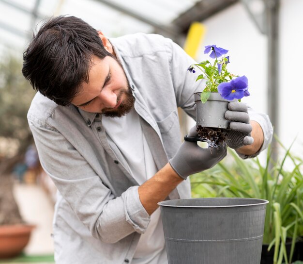 Retrato, hombre, cultivo de plantas