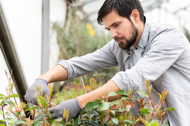 Retrato, hombre, cultivo de plantas