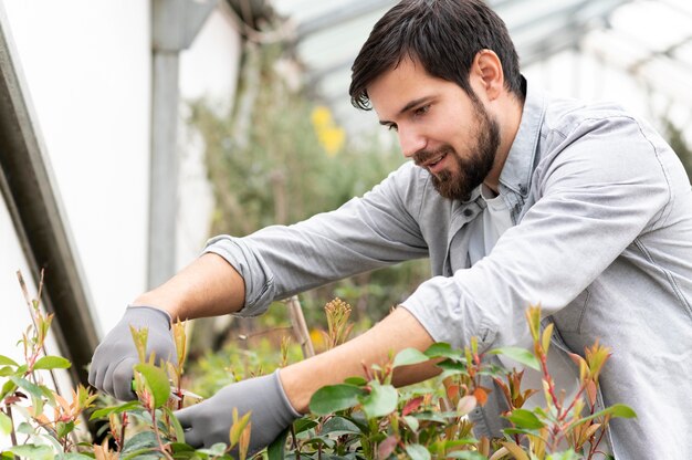 Retrato, hombre, cultivo de plantas