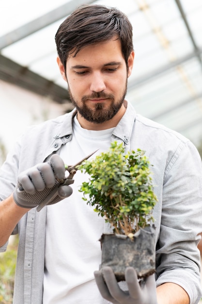 Retrato, hombre, cultivo de plantas