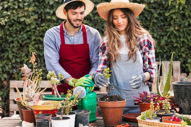 Foto gratuita retrato de jardinero masculino y femenino cuidando las plantas en el jardín