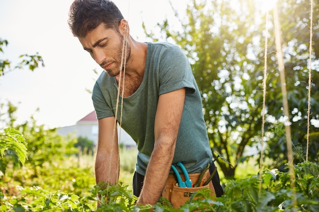 Retrato de jardinero masculino joven caucásico atractivo serio en camisa azul que trabaja en el jardín, cortando las hojas muertas con la expresión concentrada de la cara.