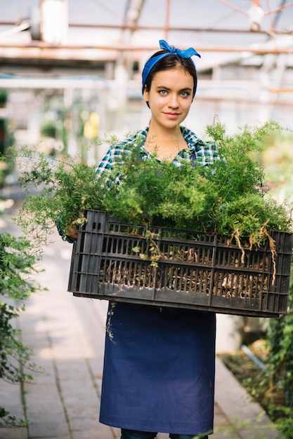 Foto gratuita retrato de un jardinero de sexo femenino joven que sostiene el cajón con las plantas frescas en invernadero