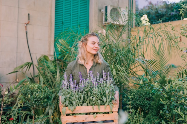 Retrato de un jardinero de sexo femenino que sostiene el cajón de madera de flores de la lavanda