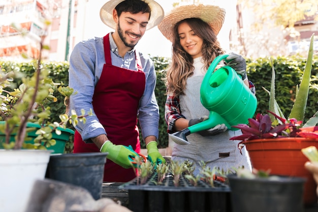 Foto gratuita retrato del jardinero de sexo femenino y de sexo masculino joven sonriente que cuida de almácigos en cajón