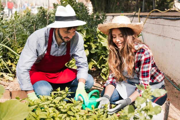 Retrato del jardinero de sexo masculino y de sexo femenino sonriente que mira las plantas en el jardín