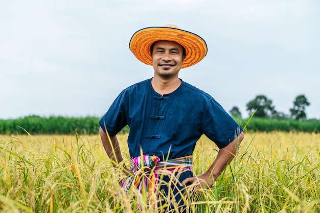Retrato joven apuesto agricultor en campo de arroz, con sombrero de paja, sonríe y de pie en la cintura