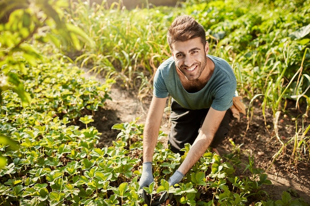 Retrato de joven jardinero hispano barbudo atractivo en camiseta azul sonriendo en la cámara, trabajando en el jardín, recogiendo la cosecha, pasando la mañana al aire libre