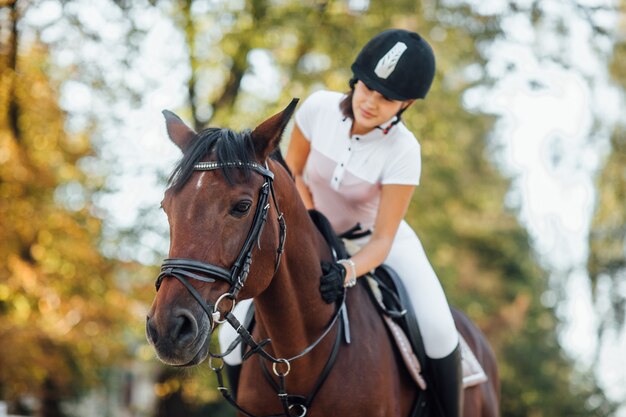 Retrato de joven jinete montando un hermoso caballo marrón en el bosque de otoño.