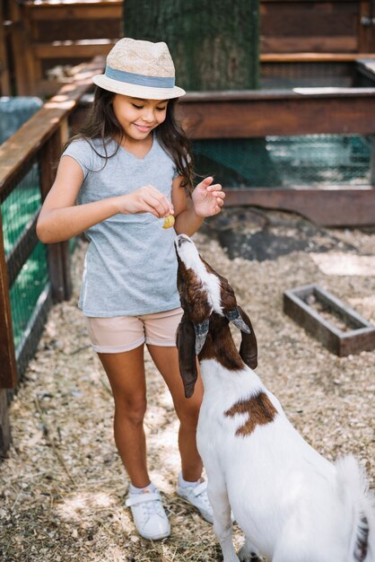 Retrato de una muchacha linda sonriente que alimenta a la cabra en la granja