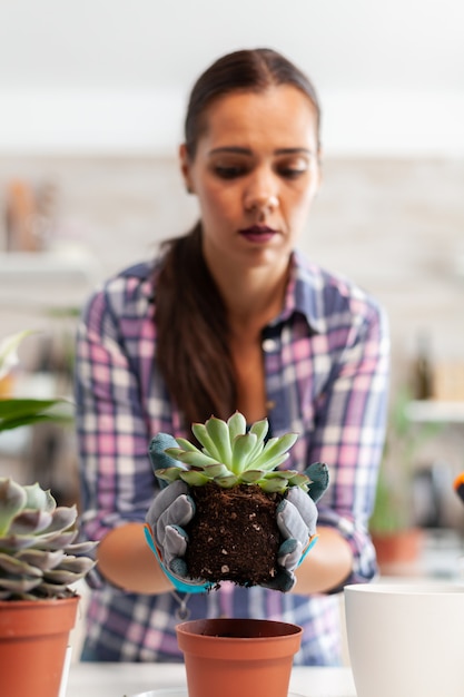 Foto gratuita retrato de mujer feliz sosteniendo plantas suculentas sentado en la mesa en la cocina. mujer replantando flores en maceta de cerámica con pala, guantes, suelo fertilizante y flores para la decoración de la casa.