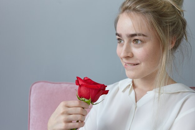 Retrato de mujer joven hermosa romántica con cabello rubio recogido con expresión de ensueño juguetón, mordiendo los labios, posando en el interior con hermosa rosa roja de misterioso admirador. día de San Valentín