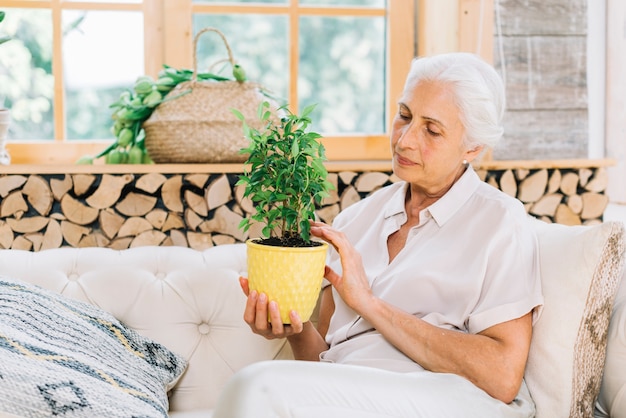 Retrato de la mujer mayor que se sienta en el sofá que mira la planta de tiesto