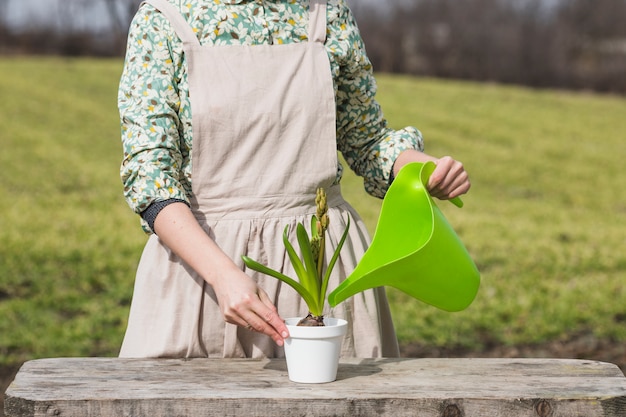 Retrato de mujer plantando