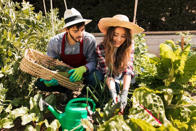 Retrato de los pares jovenes del jardinero de sexo masculino y de sexo femenino que trabajan en el jardín