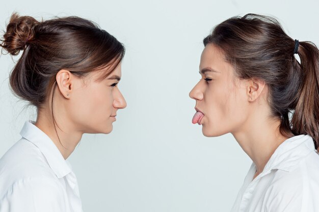 Retrato de perfil de estudio de hermanas gemelas jóvenes en gris