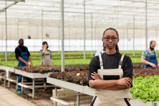 Retrato de un trabajador de invernadero afroamericano confiado posando de pie junto a filas de plántulas de verduras orgánicas. Mujer profesional de pie en la plantación de microgreens hidropónicos.
