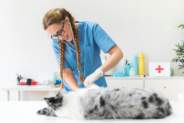 Retrato del veterinario de sexo femenino que examina el perro en la tabla en clínica