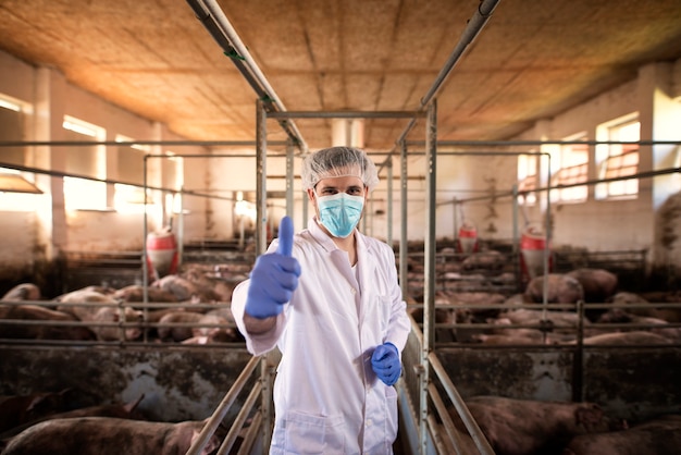 Foto gratuita retrato de veterinario en traje de protección blanco con redecilla y máscara de pie en el corral de cerdo y mostrando los pulgares para arriba en la granja de cerdos