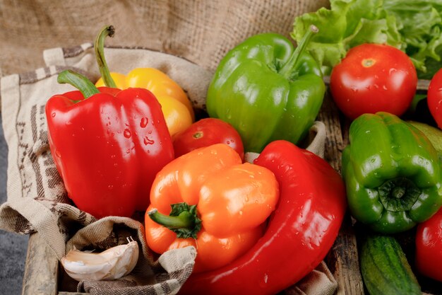 Ricos pimientos de color con tomate y ajos.