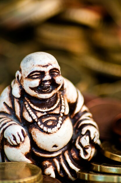 Riendo Budda delante de las monedas