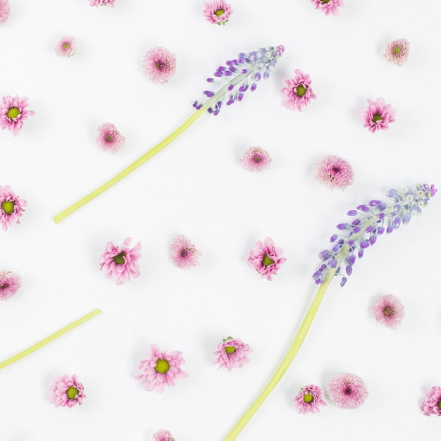 Foto gratuita rimel y estampado de flores rosa sobre fondo blanco