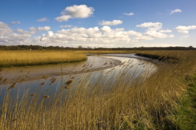 Río Alde rodeado de campos bajo la luz del sol y un cielo azul en el Reino Unido