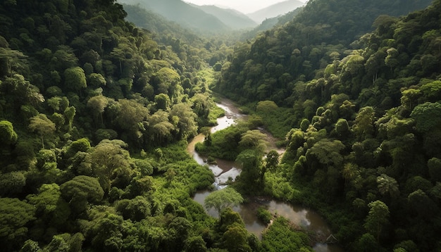 Un río corre a través de un exuberante bosque verde.