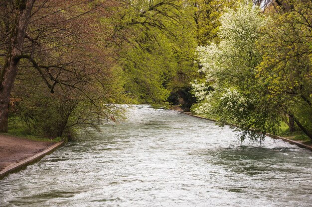 Río corriendo por el parque