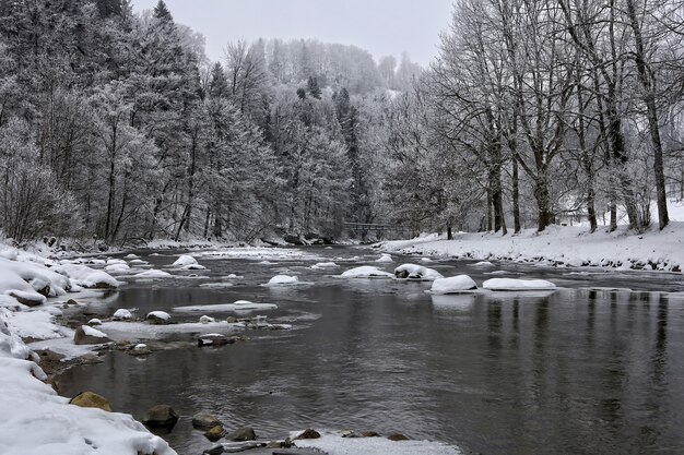 Río cubierto de nieve y árboles durante el día.