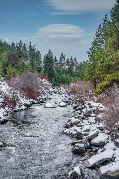 Río Deschutes rodeado de bosques durante el día