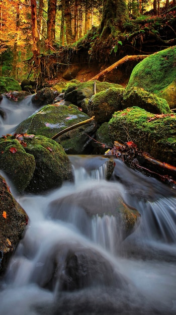 Río embravecido, naturaleza