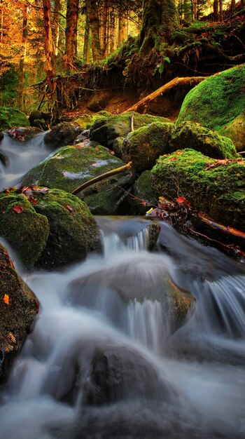 Río embravecido, naturaleza