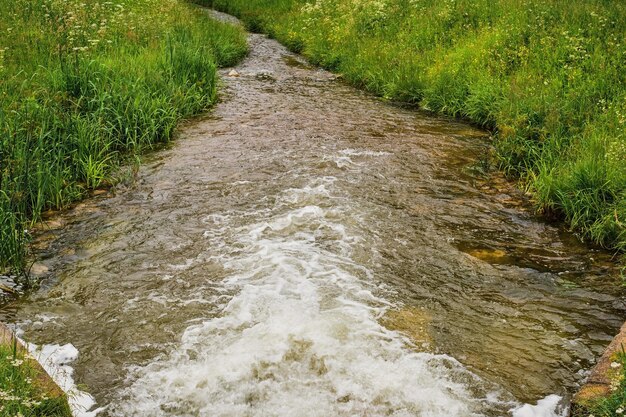 El río fluye fuera de la presa, el arroyo del bosque corre entre la pradera de hierba floreciente Idea de problema de ahorro de agua de recursos para pancarta