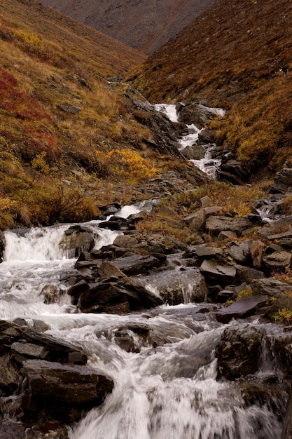 Foto gratuita río en medio de colinas en el parque nacional puertas del ártico