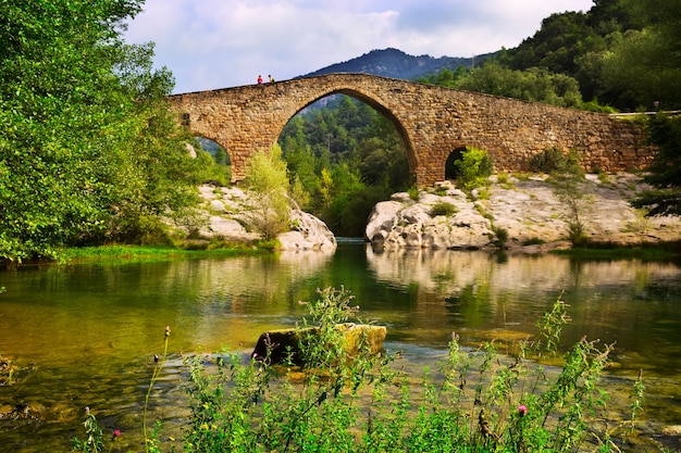 Río de montaña con puente medieval en Pirineos