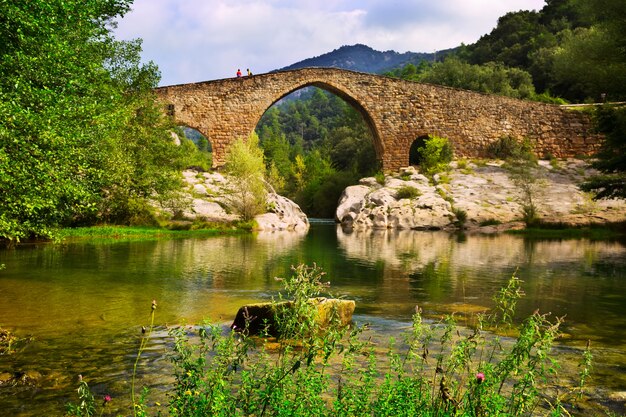 Río de montaña con puente medieval en Pirineos