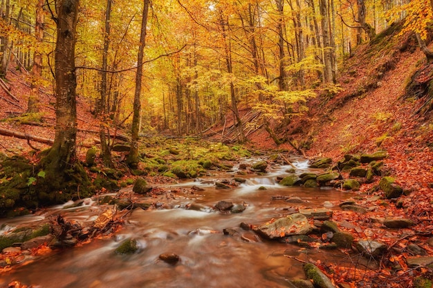 Río de montaña rápido en otoño