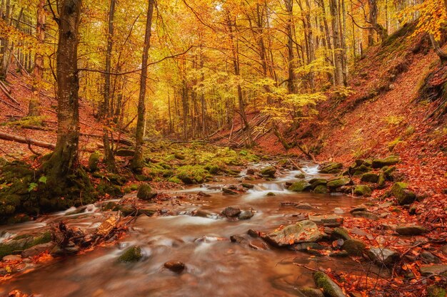 Río de montaña rápido en otoño