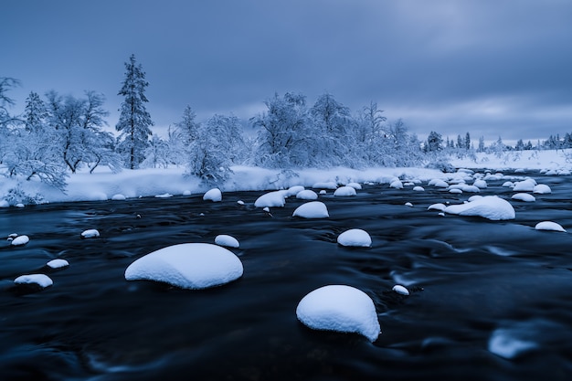 Río con nieve y un bosque cerca cubierto de nieve en invierno en Suecia