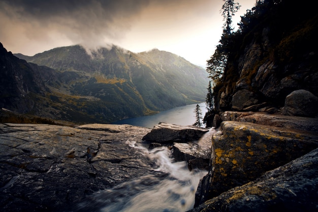 Río en el paisaje de niebla de las montañas.