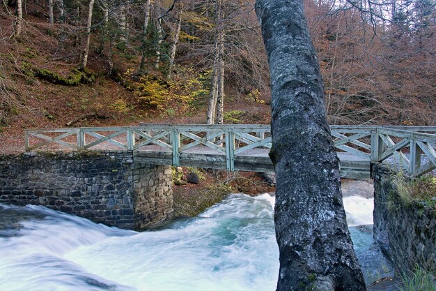 Río en el Parque Nacional de Ordesa, Pirineos, Huesca, Aragón, España