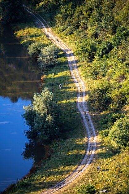 Río que fluye y la carretera de la aldea con frondosos árboles en el lateral, dos vacas pastando en Moldavia