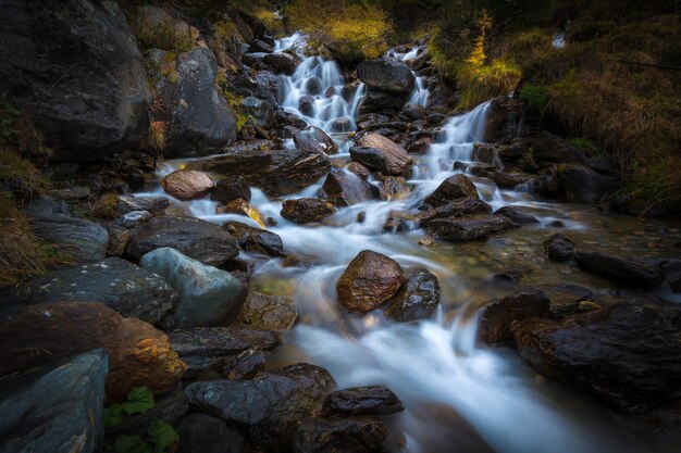 Río que fluye sobre las piedras rodeado de vegetación bajo la luz del sol en un bosque